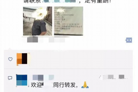 山东莱芜的讨债公司：专业、高效、合法的债权维护服务